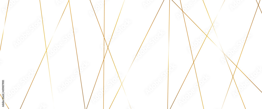 Luxury banner presentation gold line background, abstract white gray colors with gold lines pattern texture business background.