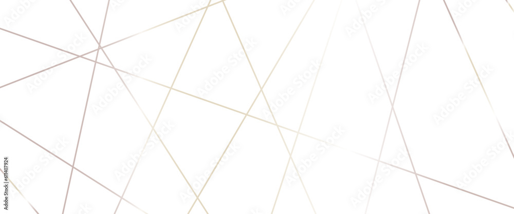 Luxury banner presentation gold line background, abstract white gray colors with gold lines pattern texture business background.