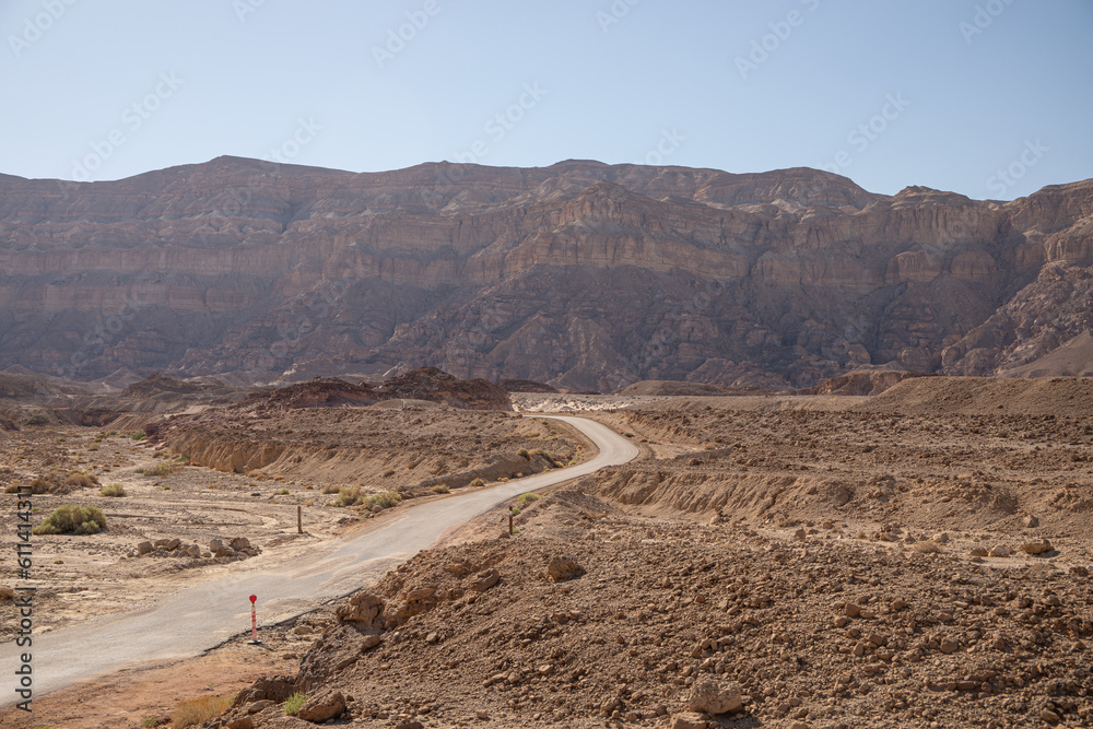 Road in the desert Road in the desert