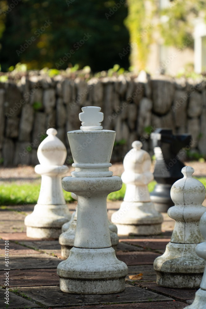 Big chess pieces on a chessboard outside in the garden. 