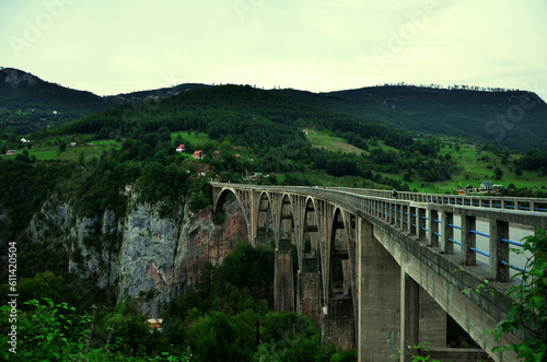 Tara Bridge, Montenegro 