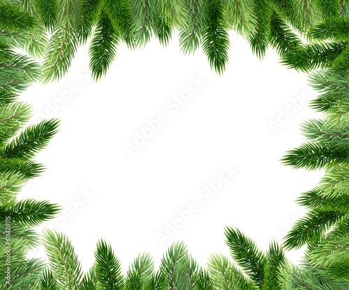 Fir leaves with transparent background 2