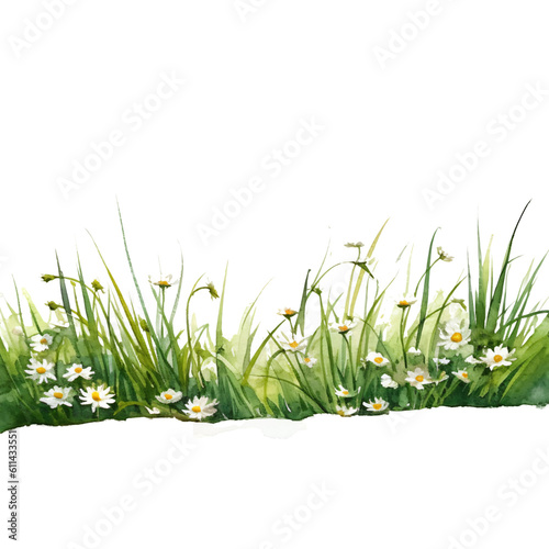 Fototapeta Naklejka Na Ścianę i Meble -  line of grass with white flowers like daisy in watercolor design isolated against transparent