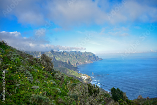 Tenerife, Canary, Canary Islands
