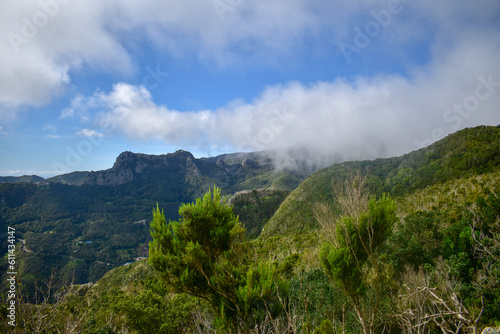 Tenerife, Canary, Canary Islands