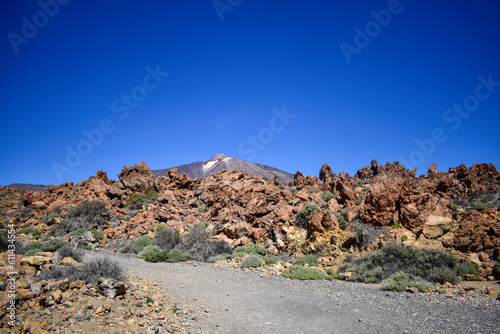 Tenerife, Canary, Canary Islands