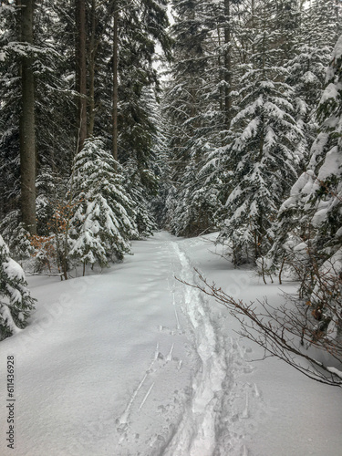 snow covered road
