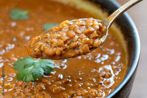 Horsegram Dal (Kulith or Kollu Dal) homemade dish on a spoon.
 photo