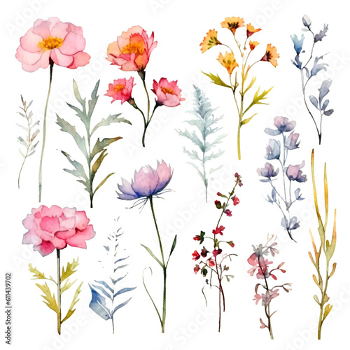 Fototapeta Naklejka Na Ścianę i Meble -  slender clipart elements like grass and filigran flowers in watercolor design isolated against transparent