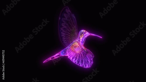 Hummingbird flying loop with alpha channel photo