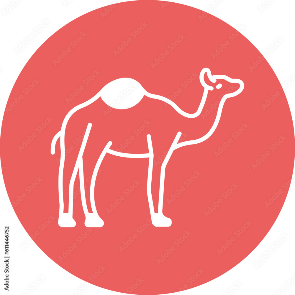 Camel
Camel