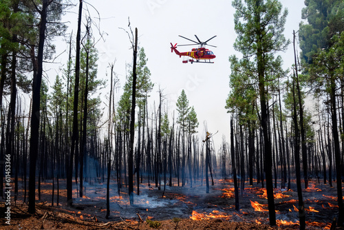 Helicopter flying over wildfire forest fire.