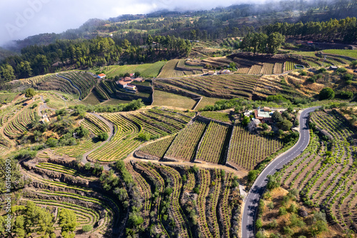 Aerial view above vineyards in La Palma, Canary Islands, Spain