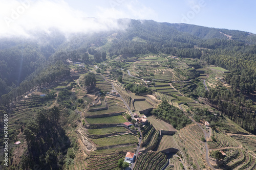 Aerial view above vineyards in La Palma, Canary Islands, Spain photo