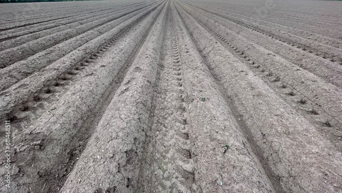 Obraz na płótnie Ploughed fields with and without crops