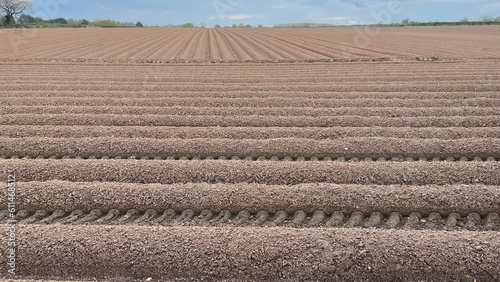 Plakat w ramie Ploughed fields with and without crops