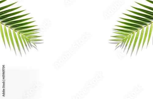 Palm leaves with shadow and light on white background  Generative Ai.