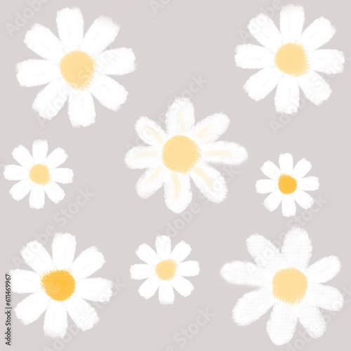 Flowers background, daisy flower, daisy background, cute background, nature background 