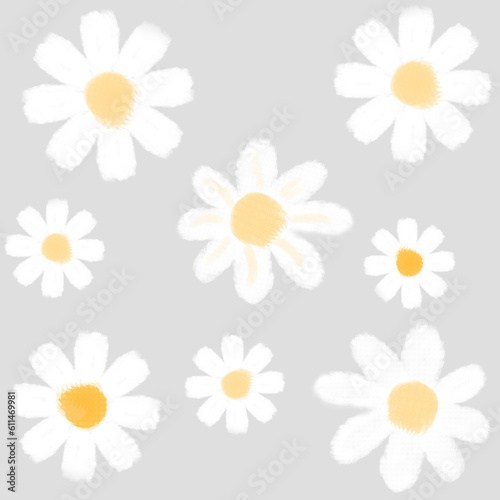Flowers background, daisy flower, daisy background, cute background, nature background 