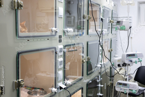 Cages for animals in a stationary veterinary clinic. Hospital cages for the treatment of sick pets in a veterinary clinic. The concept of treating pets in a veterinary hospital.