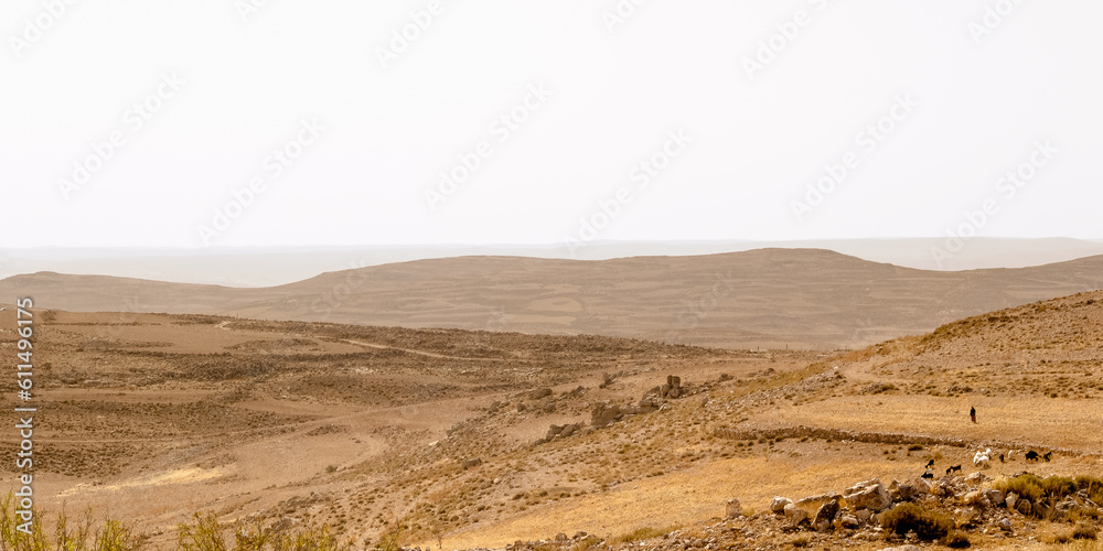 Shepherd with his sheep in a landscape at King's Highway in Jordan. The King’s Highway was a trade route of vital importance in the ancient Near East, connecting Africa with Mesopotamia.