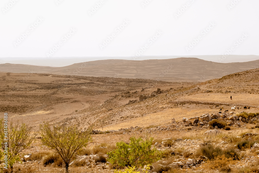 Shepherd with his sheep in a landscape at King's Highway in Jordan. The King’s Highway was a trade route of vital importance in the ancient Near East, connecting Africa with Mesopotamia. Shepherd with his sheep in a landscape at King's Highway in Jordan. The King’s Highway was a trade route of vital importance in the ancient Near East, connecting Africa with Mesopotamia.