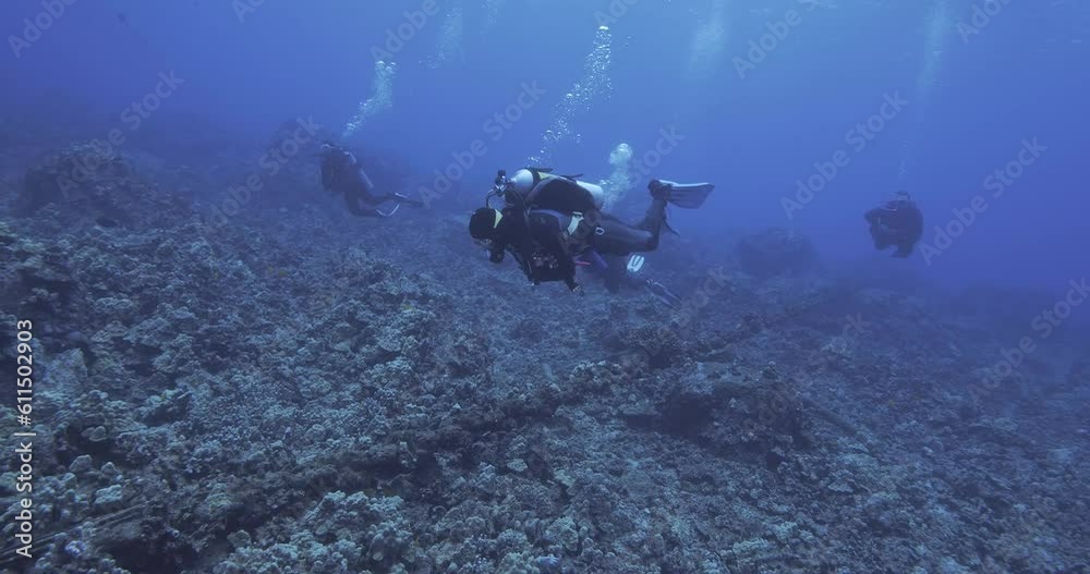 Scuba divers follow encrusted chain. Scuba divers follow encrusted chain.
