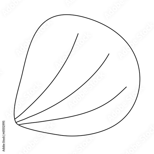 Yellow cockle or scallop sea shell, doodle style vector outline illustration for kids coloring book