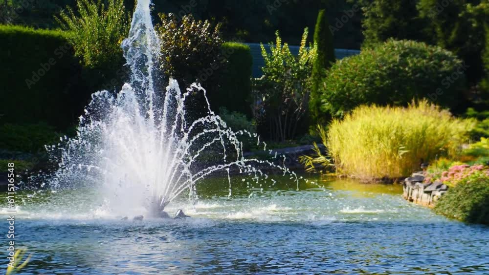 custom made wallpaper toronto digitalfountain in the garden