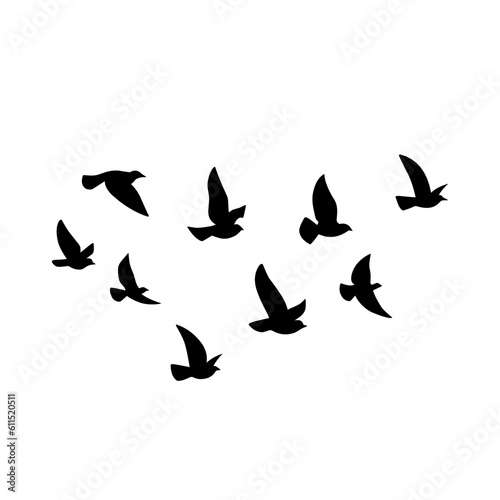 Flying bird silhouette. Vector illustration. a flock of flying birds. tattoo design