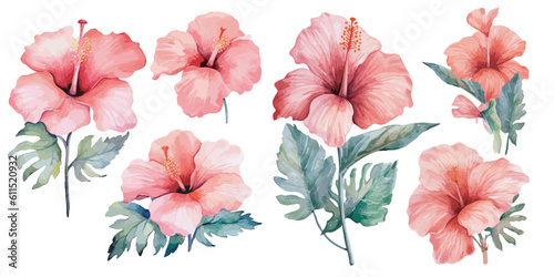 watercolor hibiscus clipart for graphic resources