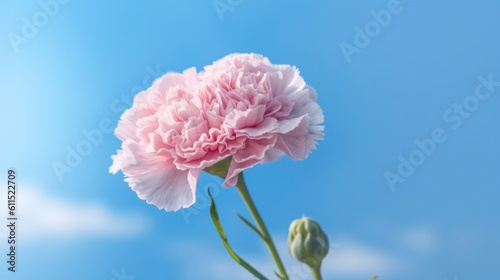 Pink and white carnations against a blue sky. Generative AI.
