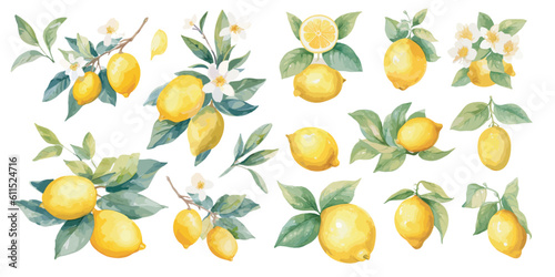 watercolor lemon with flower clipart for graphic resources © Dgillustration12u