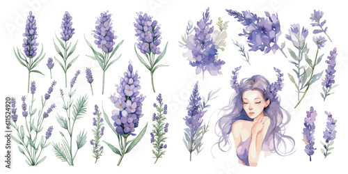 watercolor lavender clipart for graphic resources