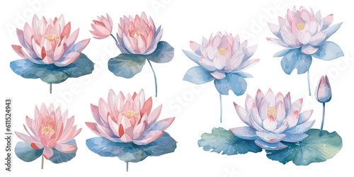  watercolor lotus clipart for graphic resources