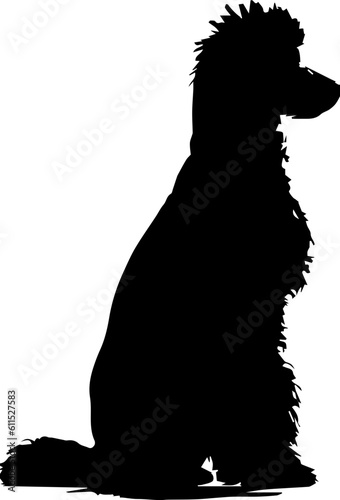 Poodle animal images