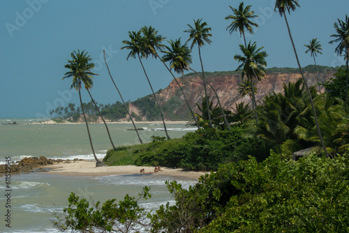 northeast coast, Paraíba, Brazil