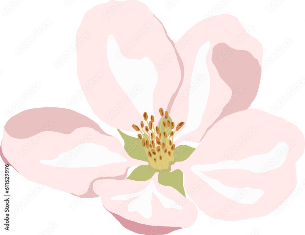 Pink Blossom Flower Bud. Sakura or Cherry Bloom Tree. Hand Drawing Beauty Plant. Cartoon Vector Illustration on White Background Pink Blossom Flower Bud. Sakura or Cherry Bloom Tree. Hand Drawing Beauty Plant. Cartoon Vector Illustration on White Background