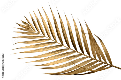 Golden palm leaf PNG on transparent background Abstract monstera leaf decorat...