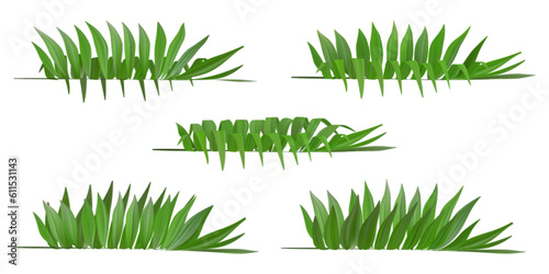 3d palm leaves as hawaiian aloha party banner fern template. Summer green plant set. Vector tropical tree exotic foliage.