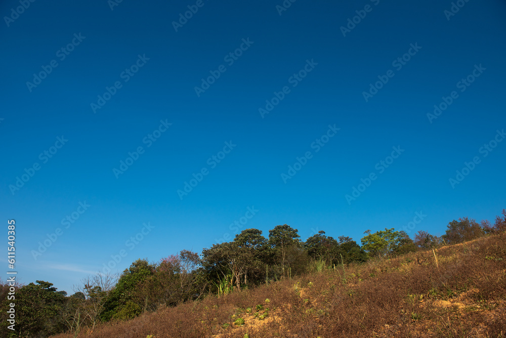 Phitsanulok Thailand January 25 2023 Wat Pa Phuhin Rong kla, Ban Rong Kla, Phu Hin Rong Kla National Park. Phitsanulok Thailand January 25 2023 Wat Pa Phuhin Rong kla, Ban Rong Kla, Phu Hin Rong Kla National Park.