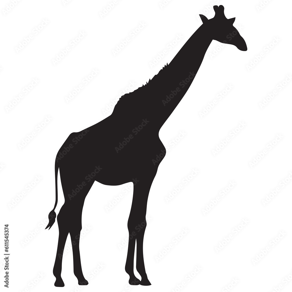 Obraz premium Giraffe vector silhouette