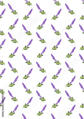 seamless pattern with common Bluebell background.Eps 10 vector.