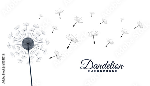 dandelion flower with flying seeds make a wish concept background vector