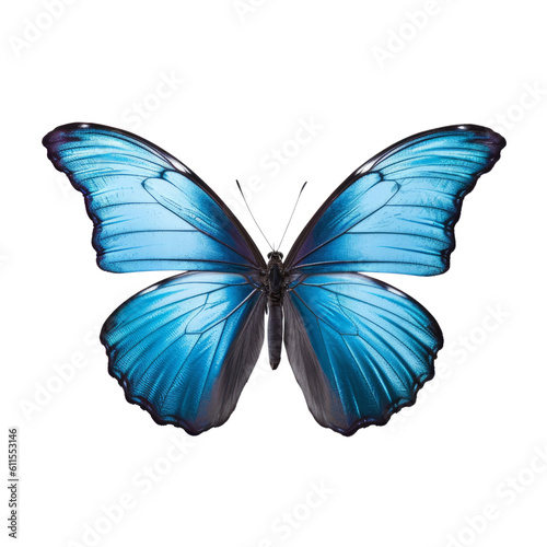 blue butterfly isolated on transparent background cutout © Papugrat