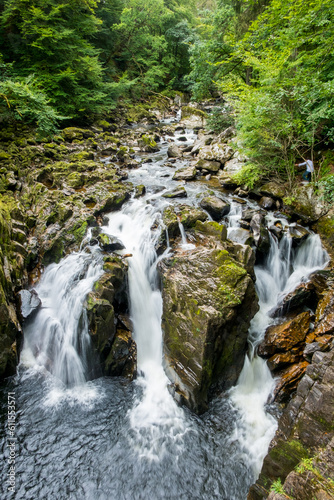 View of waterfall in the woods with trees along the way