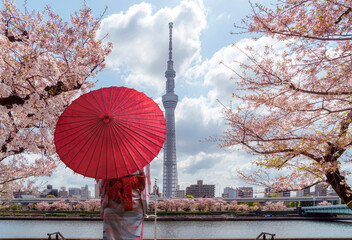 Keuken achterwand Tokio Tokyo Skytree toren met roze kersenbloesem  © anekoho