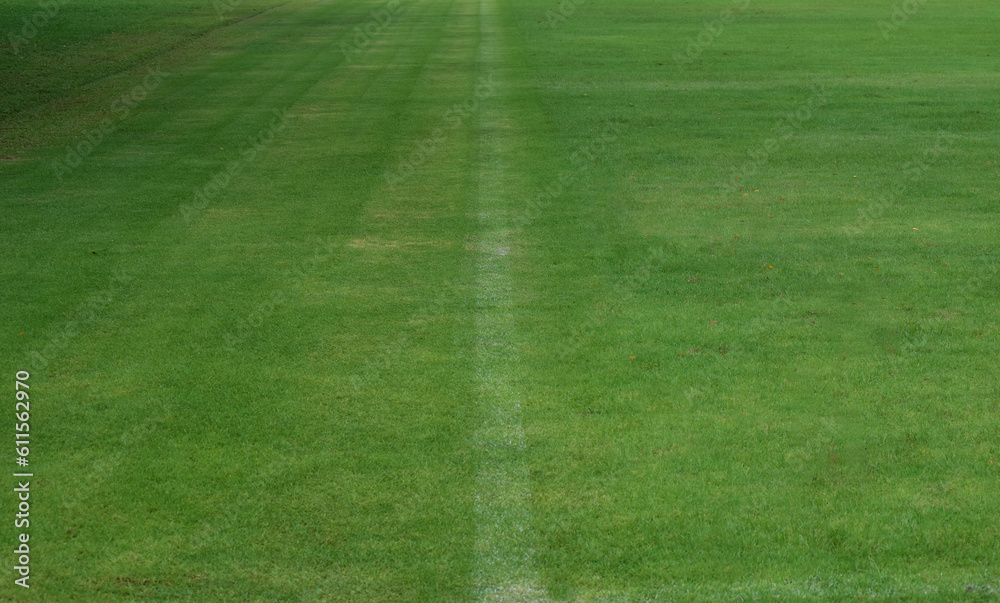 green lawn a football field