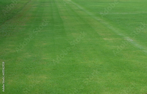 green lawn a football field