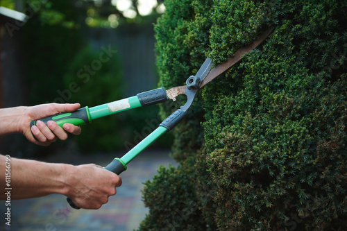 Selective focus on professional garden tools, pruning shears, pruners in the hands of gardener landscaper cutting hedge in backyard or garden. Landscaping. Garden decoration. Home maintenance concept